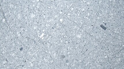 Fototapeta premium A close-up of elegant white marble with soft gray veins flowing throughout, showcasing the natural elegance and organic design