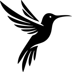 Hummingbird Art Hand Drawn Line Art
