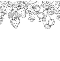 Berries vector frame hand drawn in ink. Border with strawberry, cherry, raspberry and blueberry branches isolated on white background.Template for label design