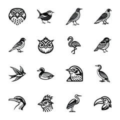 Fototapeta premium Set of Glyph Style Tropical Birds Icons 