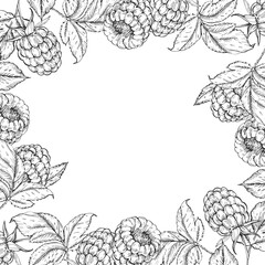 Raspberry vector black and white frame hand drawn with ink. Border with leaves, berries of raspberry on a white background. Template for label design