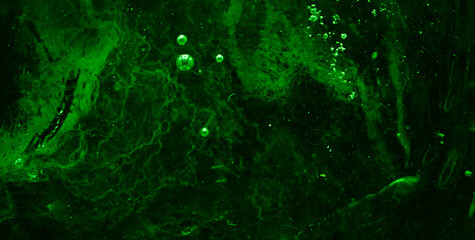 Whimsical Journey through an Enchanting Rainbow Splash on a Cute and Colorful Abstract Background