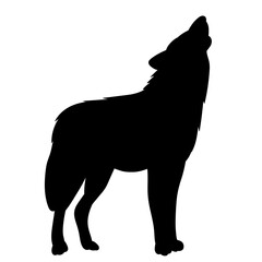 wolf howling black silhouette vector