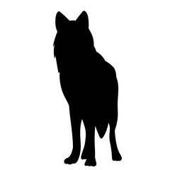 wolf standing black silhouette vector