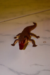 Children's toys with various types of land animals. Land animal education such as elephants, giraffes, hippos and others. Toys with soft materials. Friendly toys.