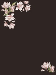 Watercolor magnolia blossoms against a dark background creating a serene floral display