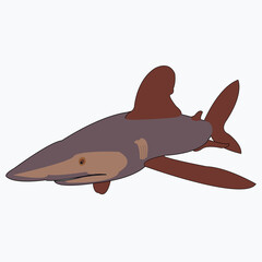 a predatory shark that lives in the depths of the sea or ocean is a threat to many fish.