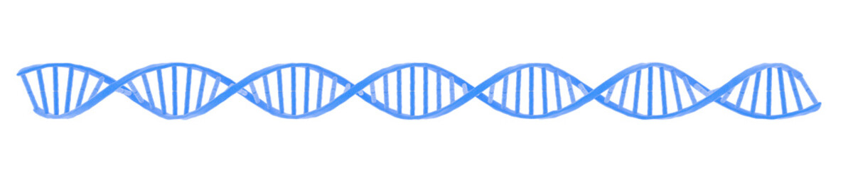 Nucleic acid. DNA. Double helix. Isolated. Strand. Transparent background. 3d illustration.