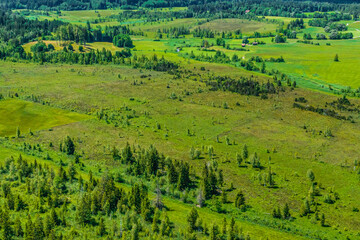 Obernacher Moos, eine Moorlandschaft am Staffelsee zwischen Murnau und Bad Kohlgrub