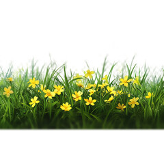 Dandelion plants growing in grass with roots