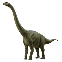 Obraz premium Sauropod Dinosaur