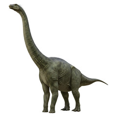 Fototapeta premium Sauropod Dinosaur