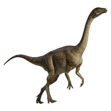 Dinosaur Walking