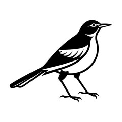 Fototapeta premium An icon of mockingbird in solid style