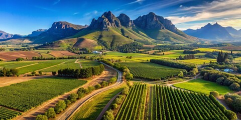 Stellenbosch Vineyards: Sunny Mountain Views, South Africa