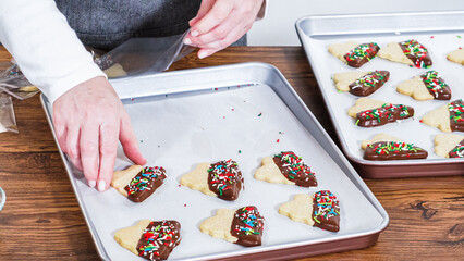 Festive Cookie Packaging with Chocolate-Dipped Christmas Delights