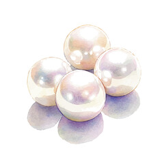 A watercolor vector painting of Akoya pearls shimmer beautifully in this, isolated on a white background.

