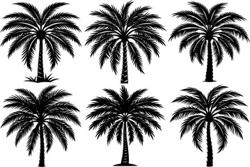 Set of date palm tree silhouette vector illustration