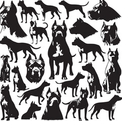 Pitbull dog vector illustration in black and white