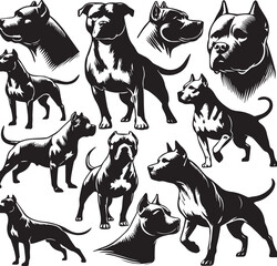 Pitbull dog vector illustration in black and white