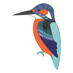 kingfisher vector illustration art work
