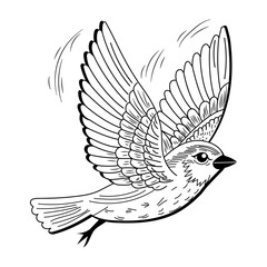 Finch flight vintage style illustration