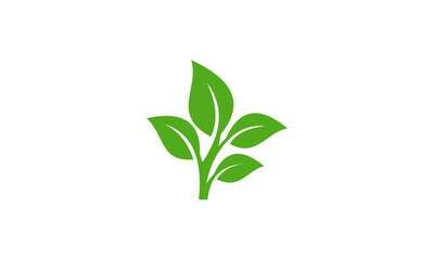 green leaf design