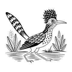 Roadrunner bird, vintage vector illustration