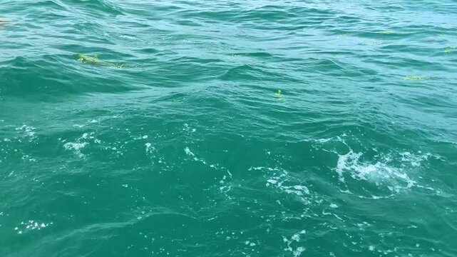 flowers in the sea for Yemanj&aacute; queen of the sea. Religious ritual