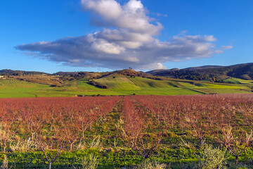 Fototapeta premium Picturesque Landscapes of Siliana Mountains