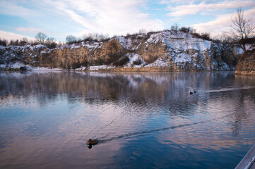 Naklejka premium Winter Lake with Ducks and Snowy Cliffs