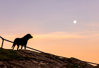 Sunrise aorund the Rhoscolyn healand Isle of Anglesey