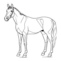 Obraz premium A black and white drawing of a Quarter Horse coloring page illustration.