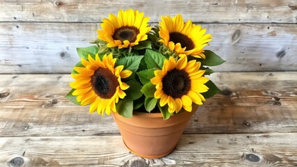 Obraz premium Four Sunflowers in a Terracotta Pot on a Wooden Surface