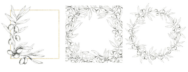 A collection of pencil-drawn olive branch frames in different shapes, complemented by golden accents. Template set Ideal for cosmetics, invitations, or designing organic-themed brand packaging