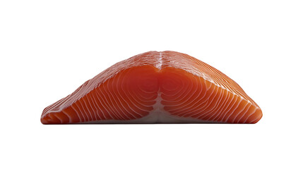 A single piece of grilled salmon with visible char lines and a moist texture arranged in the center of a transparent background 