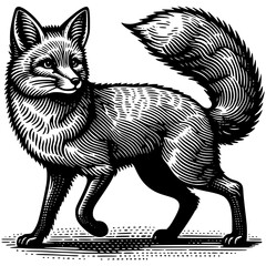 Fox Illustration
