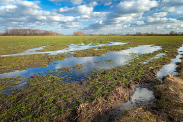Water puddles on a rural field and clouds in the sky