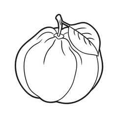 Quince on white background.