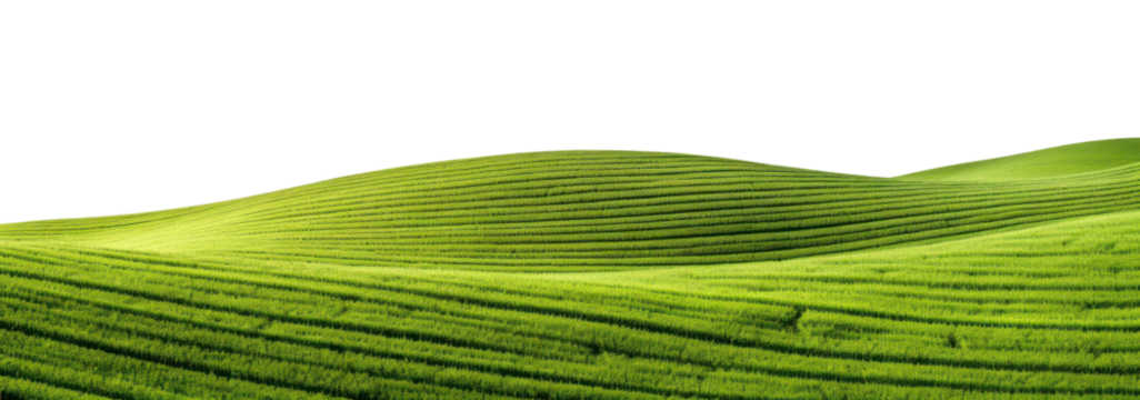 PNG Spring hills agriculture backgrounds landscape.