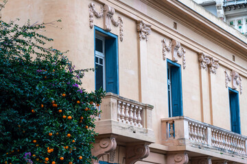 Mediterranean city classic building architecture detail with accent blue windows and the orange tree. Living in the french historical city center concept.