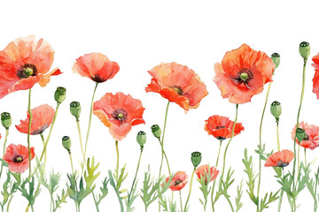 Naklejka premium PNG Poppy flower nature plant.