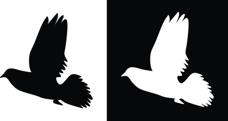 Obraz premium A detailed silhouette of a bird in flight, shown against complementary black and white contrasting backgrounds.