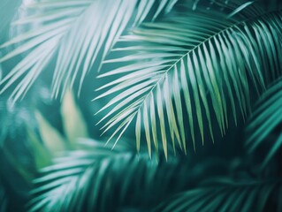 Close-up of Palm Fronds in a Moody Green Toned Tropical Environment