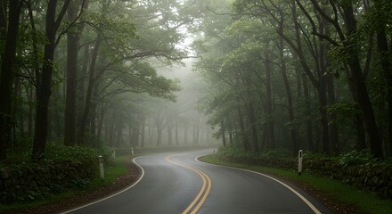 Obraz premium A misty winding road surrounded by dense green forest, creating a serene and mysterious atmosphere.