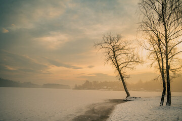 Sosina - wschodzące zimowe słońce © pinus25