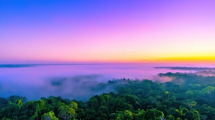Serene sunrise over a misty forest landscape.