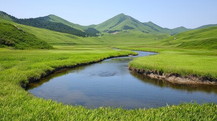 Serene River in Green Valley