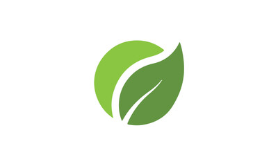 green leaf logo