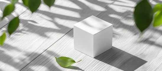Minimalist white wooden cube on light gray wood surface with green leaf shadows creating contrast in a nature-inspired black and white ambiance enhanced by dramatic lighting.